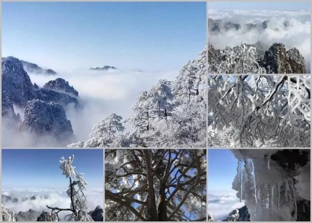 五绝之一!黄山冬雪美如画 恰似水墨丹青