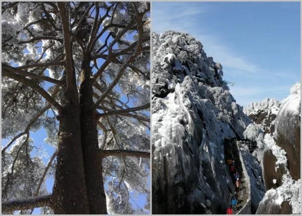 五绝之一!黄山冬雪美如画 恰似水墨丹青