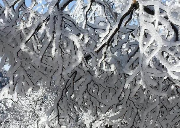 五绝之一!黄山冬雪美如画 恰似水墨丹青