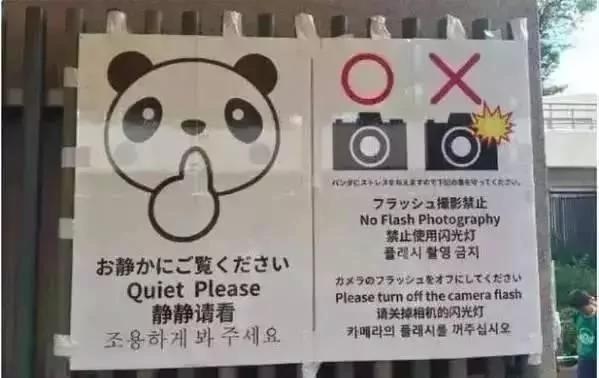 你在国外看到过最好笑的一句中文是什么?