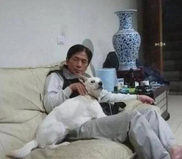 捡回流浪狗被老爸骂惨 外出回家 看到老爸宠狗的一幕 惊喜!