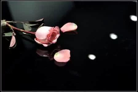 聪明女人有“三气” 你有吗?