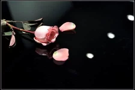 聪明女人有“三气” 你有吗?