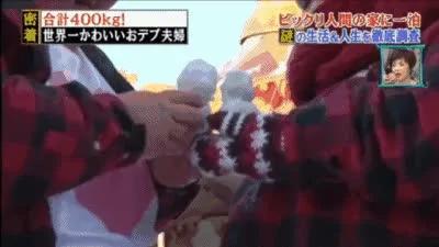 中国最胖夫妇上日本节目撒狗粮 嘉宾直呼忍不了