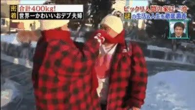 中国最胖夫妇上日本节目撒狗粮 嘉宾直呼忍不了