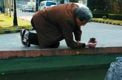 世界上最感人的瞬间 看到哪张让你泪奔?