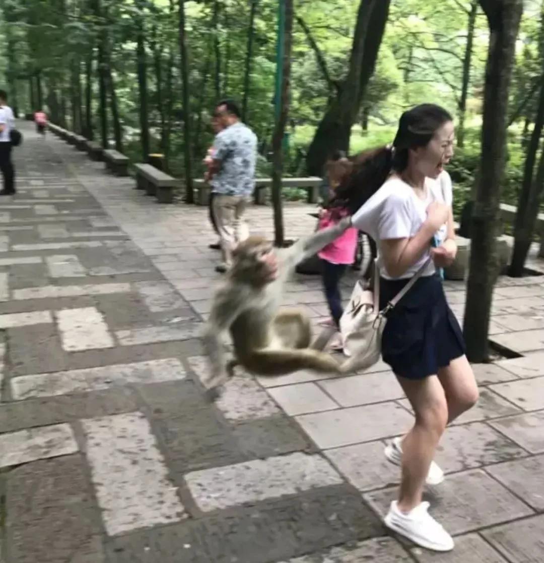 下雪了让男朋友给我拍张美照发朋友圈 看完想分手…