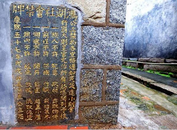 【老照片】名作家洗脑文写得太多了 最后和赵树理一个下场