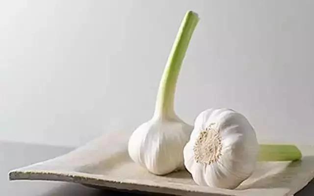 如今菜价这么贵 那就在家种菜吃吧
