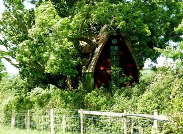 荒郊野外一个人都没有 这地方你敢住吗?