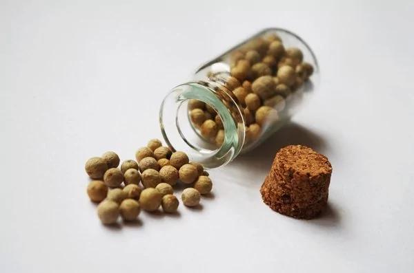 记住冬季必吃这4种暖身食物 补肾又防病!赶紧吃起来~