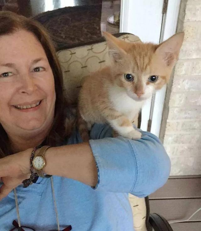 老爹声称不爱猫 结果转身就被小橘猫蹬鼻子上脸了!