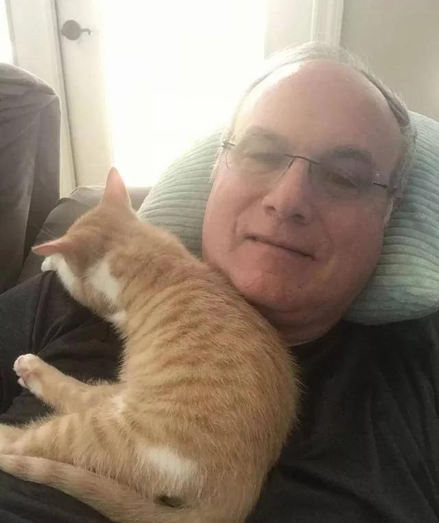 老爹声称不爱猫 结果转身就被小橘猫蹬鼻子上脸了!