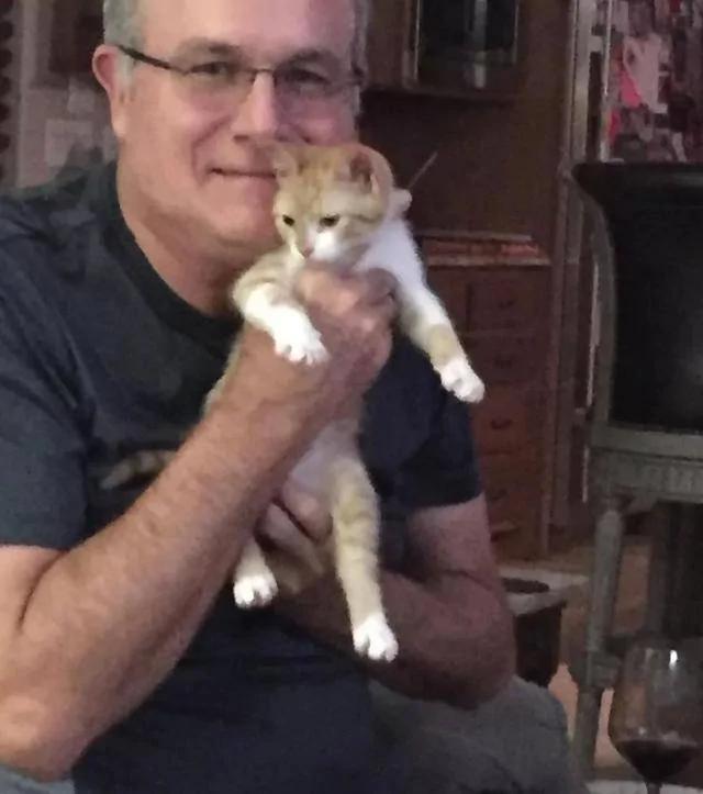 老爹声称不爱猫 结果转身就被小橘猫蹬鼻子上脸了!