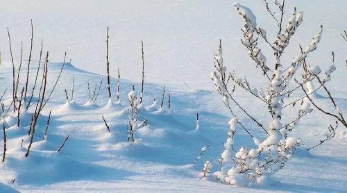 男友拍的雪景美照大比拚 看完都笑喷了