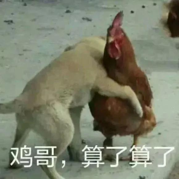 狗年已经到了?99%的人不知道生肖从这天开始算