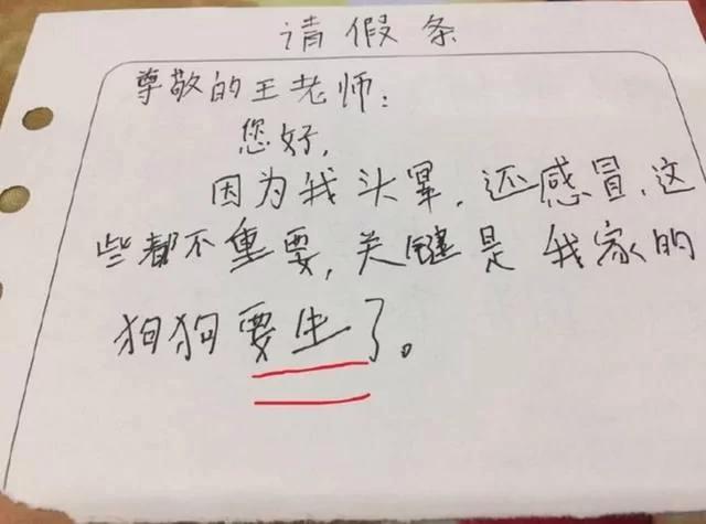 妈妈看了儿子造句 立马要离婚 老师竟给满分?爸爸却不敢回家!