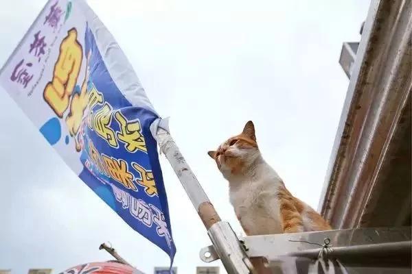台湾最清新的文旅小镇 和闺蜜一起来