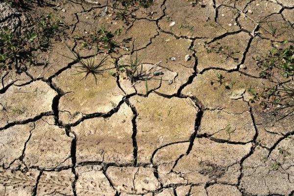 唐太宗求高僧降雨 淘米水显神迹 空中惊现四个字