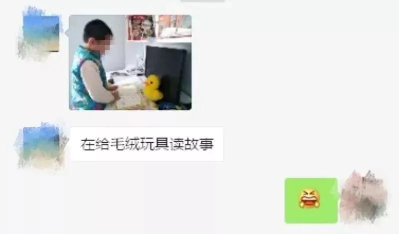 女子接到朋友求助:能否借你家猫用下?真相让人无语!