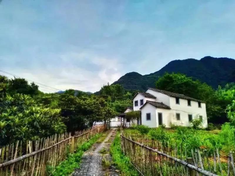 90后姑娘与网恋男友认识27天就裸婚闪婚 网友炸锅
