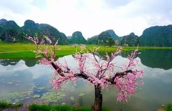 似桃花仙境的地方 一辈子来一个就值得了