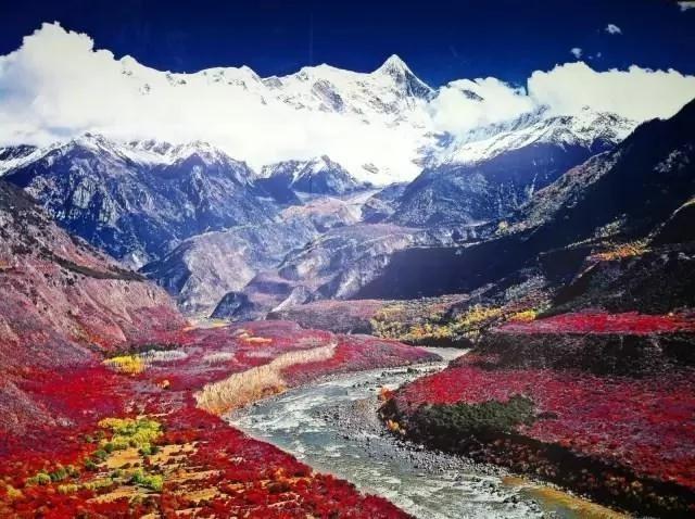 似桃花仙境的地方 一辈子来一个就值得了