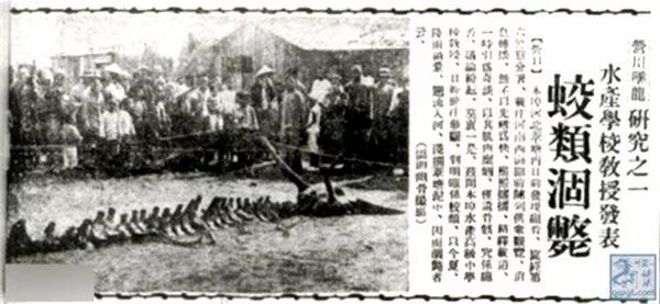 黑龙江真有黑龙?坠龙事件曾震惊世界