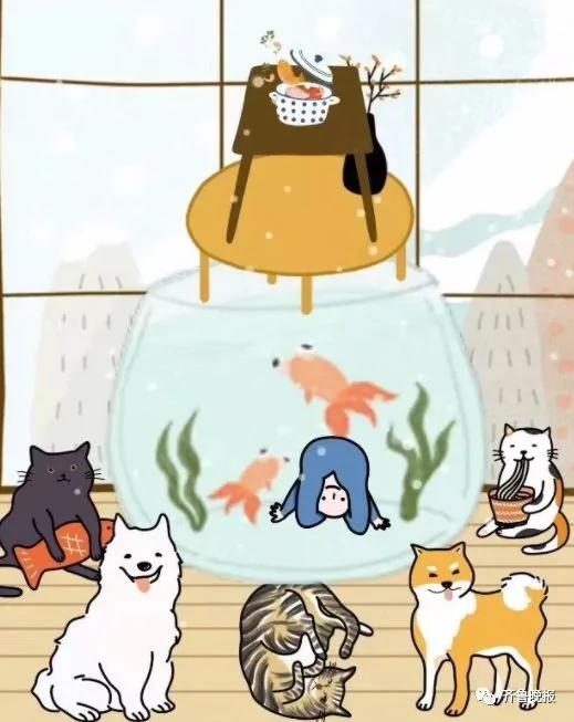 这组有猫有狗、儿女双全的全家福在朋友圈刷屏了