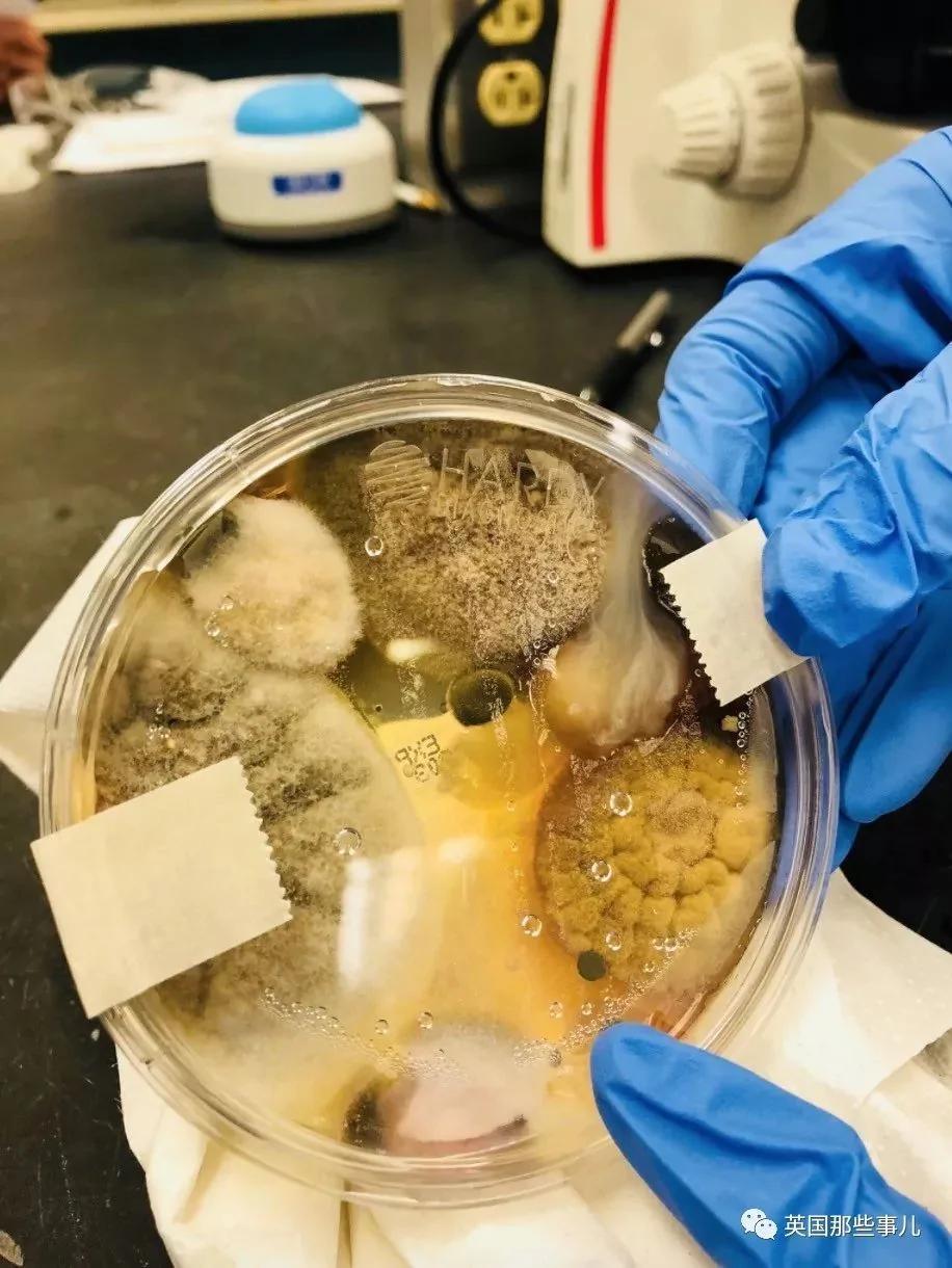 洗手间里吹手的烘干机到底有多脏?一张照片让歪果仁不淡定了