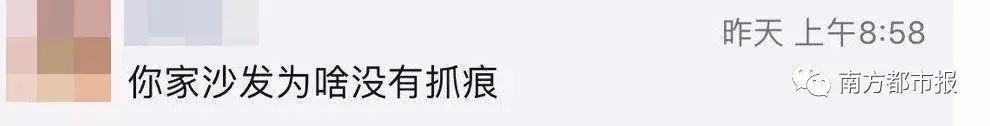 朋友圈两张沙发照片 炸出一堆被逼疯的家长