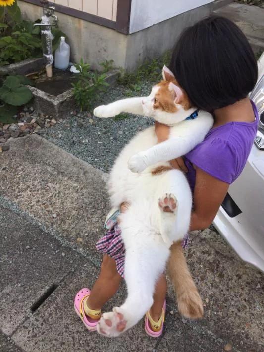 橘猫靠一张“不想回家”的照片收获了15万个赞!你看过它吗?