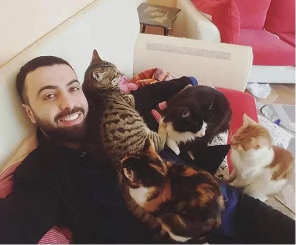 9只猫咪能听懂钢琴家主人的弹奏 每次琴声响起都会靠过来!