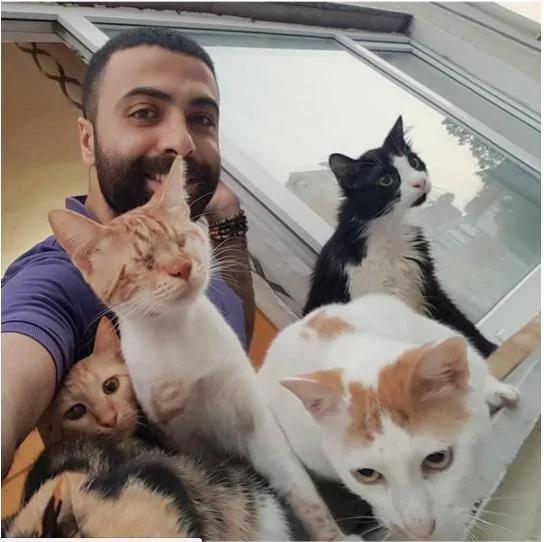 9只猫咪能听懂钢琴家主人的弹奏 每次琴声响起都会靠过来!