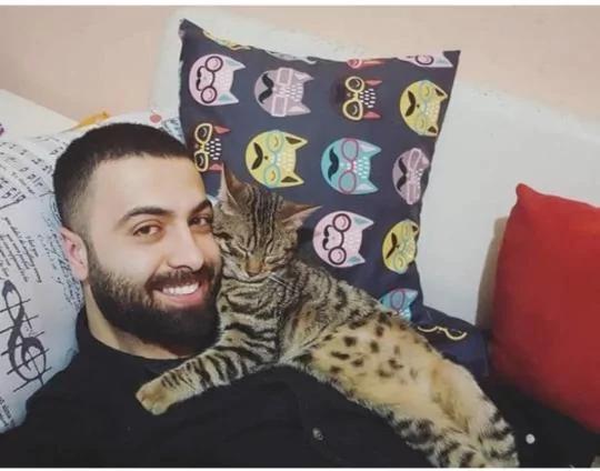 9只猫咪能听懂钢琴家主人的弹奏 每次琴声响起都会靠过来!