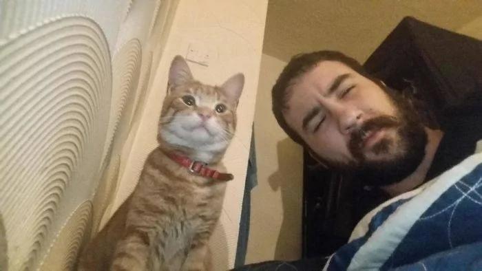 一秒变猫主人 10张超爆笑的“流浪猫选中新主人”的照片!
