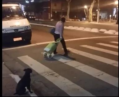 这只狗狗过马路几乎成了网红 但不是因为姿势优美!