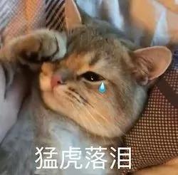 超奇葩!第一次去婆婆家过年 就把马桶坐裂 全桌灌醉!