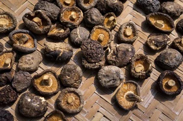 15个最聪明的生活小窍门 省钱又实用 家家都能用的着!