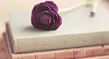 再美的缘分 也经不起敷衍