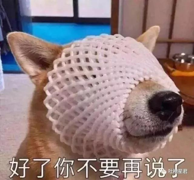 gucci包包带子是纸做的一折就断?网友评论亮瞎了