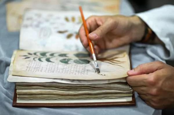 600多年的“魔法书” 破解了!译出的第一句话吓傻:“是上帝的语言!”