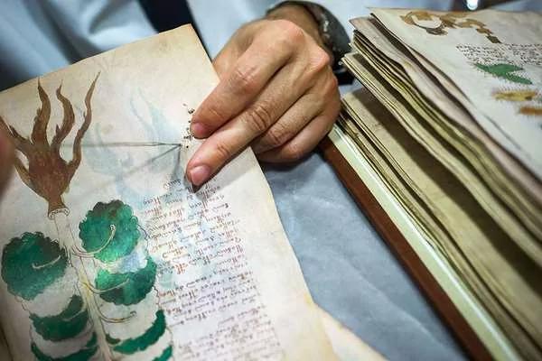 600多年的“魔法书” 破解了!译出的第一句话吓傻:“是上帝的语言!”
