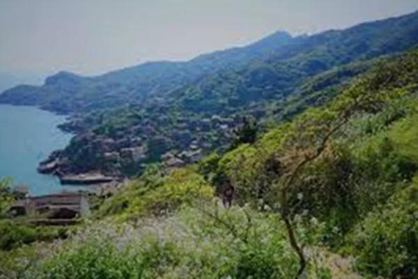 被遗忘20年后 小岛居然美如仙境!