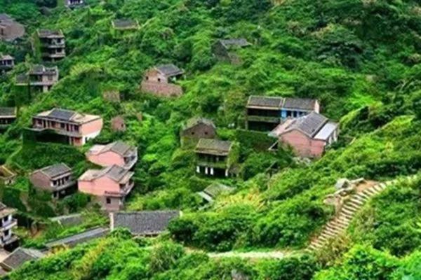 被遗忘20年后 小岛居然美如仙境!