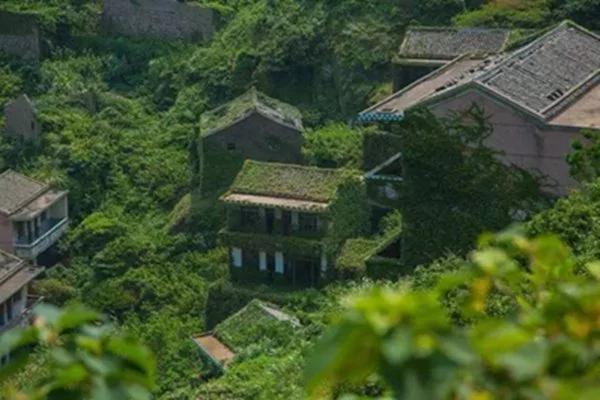 被遗忘20年后 小岛居然美如仙境!