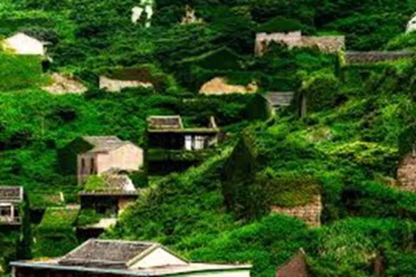 被遗忘20年后 小岛居然美如仙境!