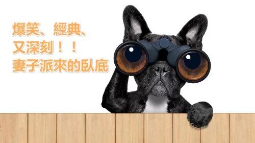 爆笑、经典、又深刻!妻子派来的卧底