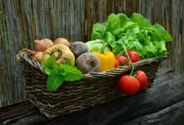 血管老化:动脉破损、积污垢!手指运动让血管回春