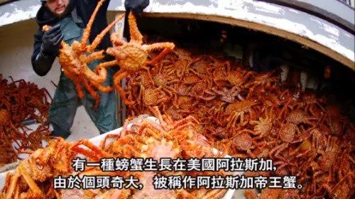 世上最危险职业之一 5天可赚10万美元